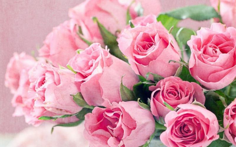 5 популярных способов сохранить розы свежими и красивыми