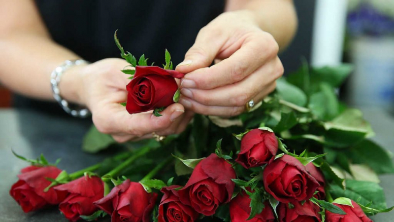 5 популярных способов сохранить розы свежими и красивыми