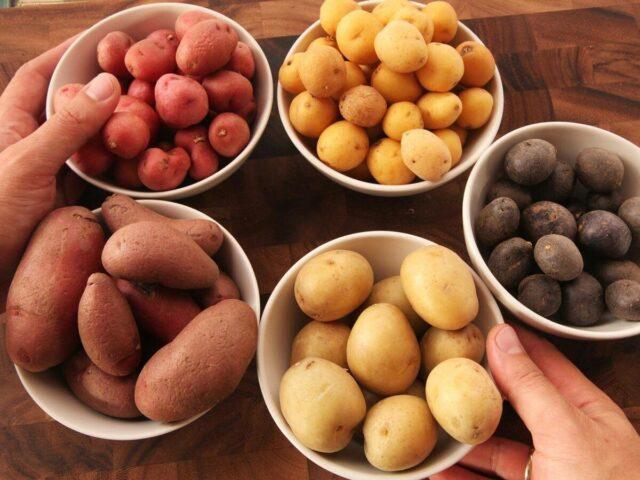 Березовый деготь при посадке картофеля: как разводить, отзывы