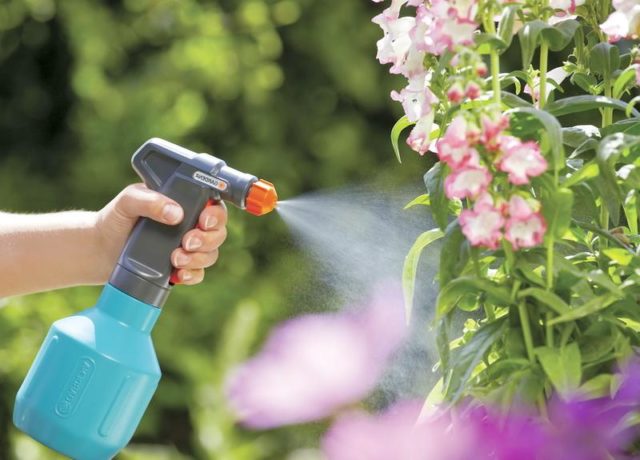 борная кислота в саду: рецепты подкормки, обработки растений и цветов