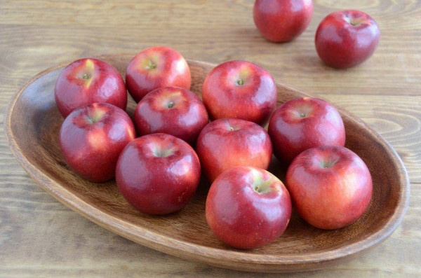Белорусская сладкая яблоня. Описание сорта, фото, отзывы