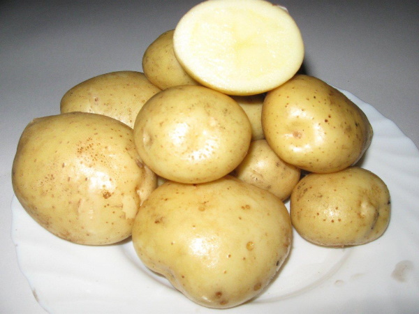 Лила картошка. Описание сорта, фото, отзывы, характеристики