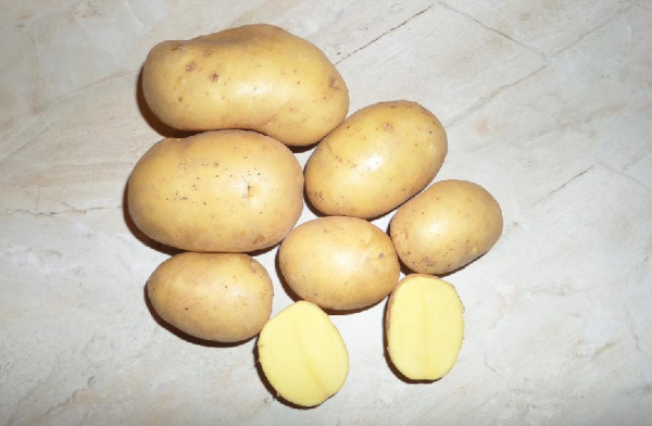 Веганский картофель. Описание сорта, фото, отзывы
