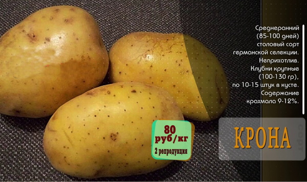 Сорт картофеля Крона. Характеристики, описание сорта, фото, отзывы