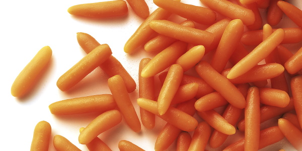 Лучшие сорта моркови для Подмосковья, открытый грунт. Отзывы