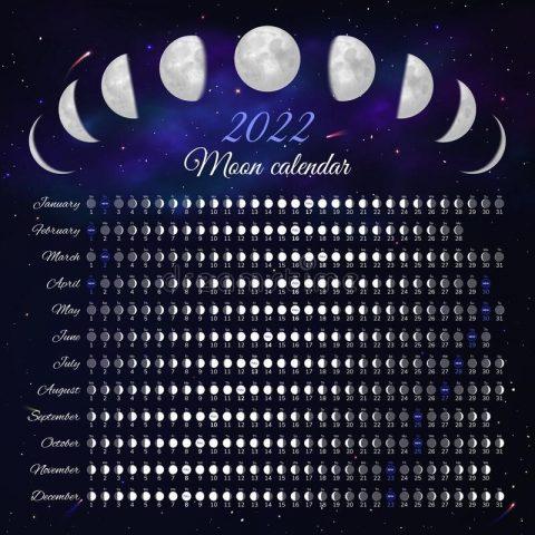 Лунный календарь садовода на март 2022 года