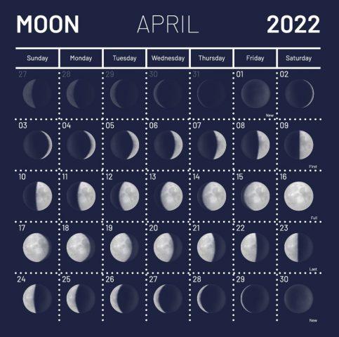 Лунный календарь садовода-огородника на апрель 2022 года