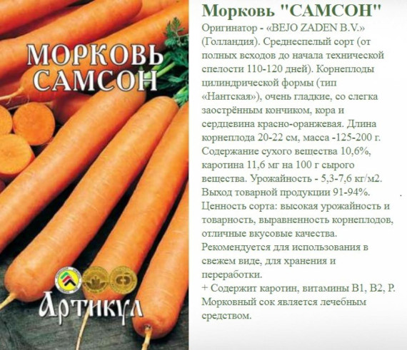 Морковный Самсон. Описание сорта, фото, отзывы, характеристики
