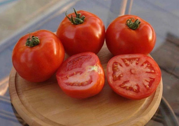 Ранние сорта спелых томатов для открытого грунта, ранние, мелкие готовые, фото