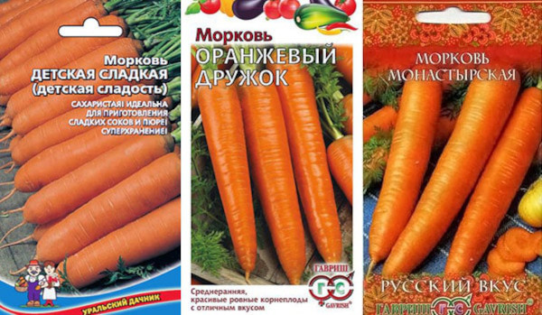 Сорт моркови для хранения лучше на зиму