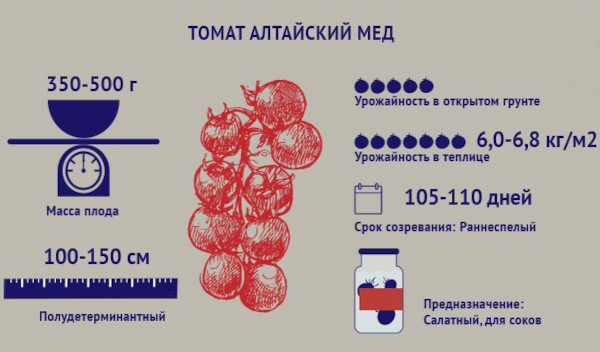 Алтайский томатный мед. Описание сорта, фото, отзывы