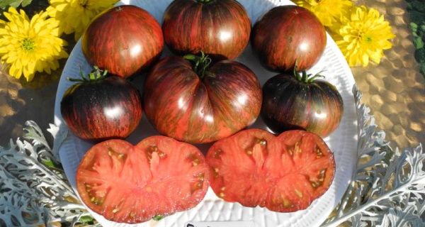 Стейк с томатным марчи. Описание сорта, фото, отзывы