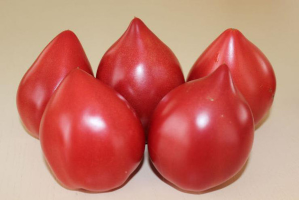 Японский помидор. Описание сорта, фото, отзывы, урожайность