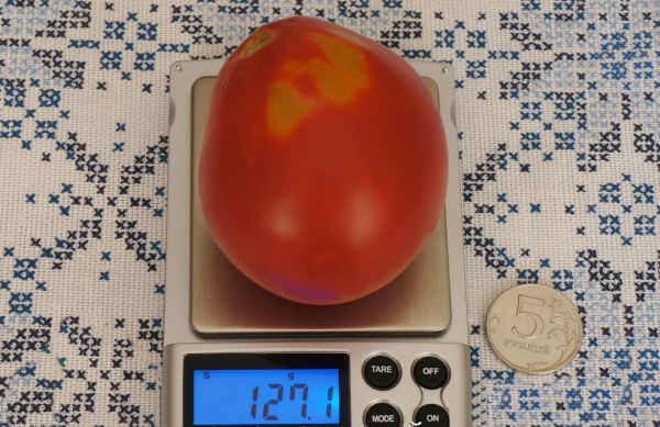 Японский томатный трюфель. Описание сорта, фото, отзывы, урожайность, характеристики