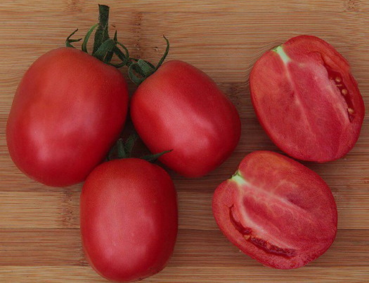 Столыпин помидор. Описание сорта, фото, отзывы, урожайность, характеристики