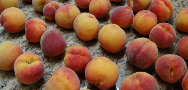 Поздние разновидности персика