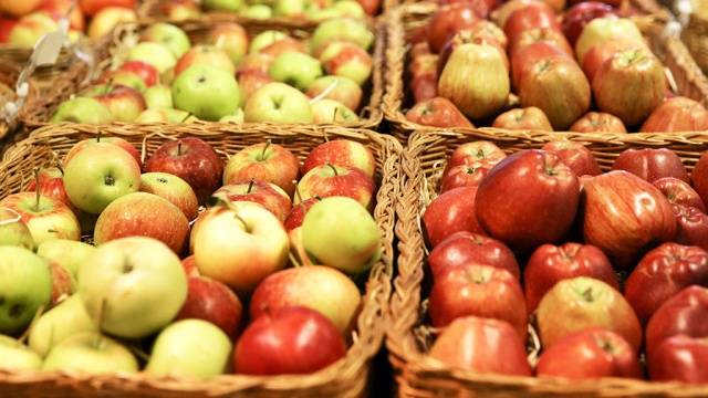 Лучшие зимние сорта яблок, хранящиеся до весны