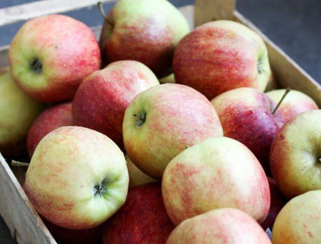Яблоки Джонаголд: фото и описание сорта, откуда привозят, отзывы, вкус