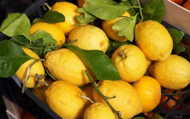 Лимон: это плод или ягода