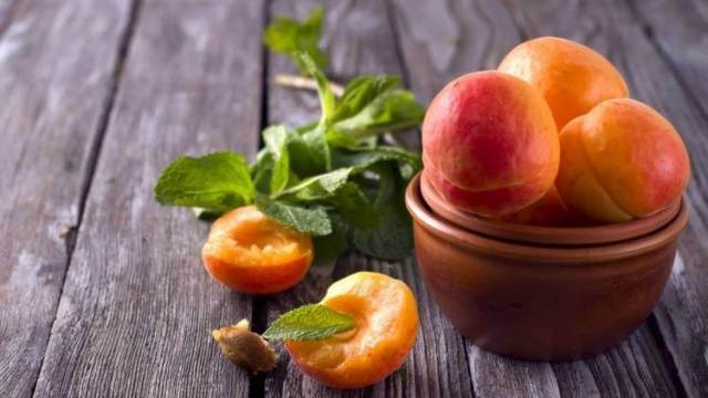 Польза абрикосов для организма человека: мужчин, женщин, беременных