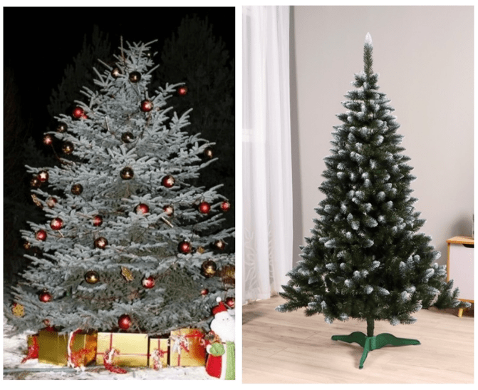 Ель и елка: в чем различие, изображения, это одно и тот же